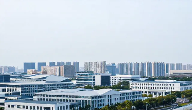 APP开发中SEO优化的适用条件与选择依据